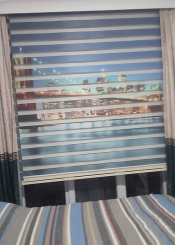 Çok Renkli Baskılı  MaviZebra Perde - Görsel 4