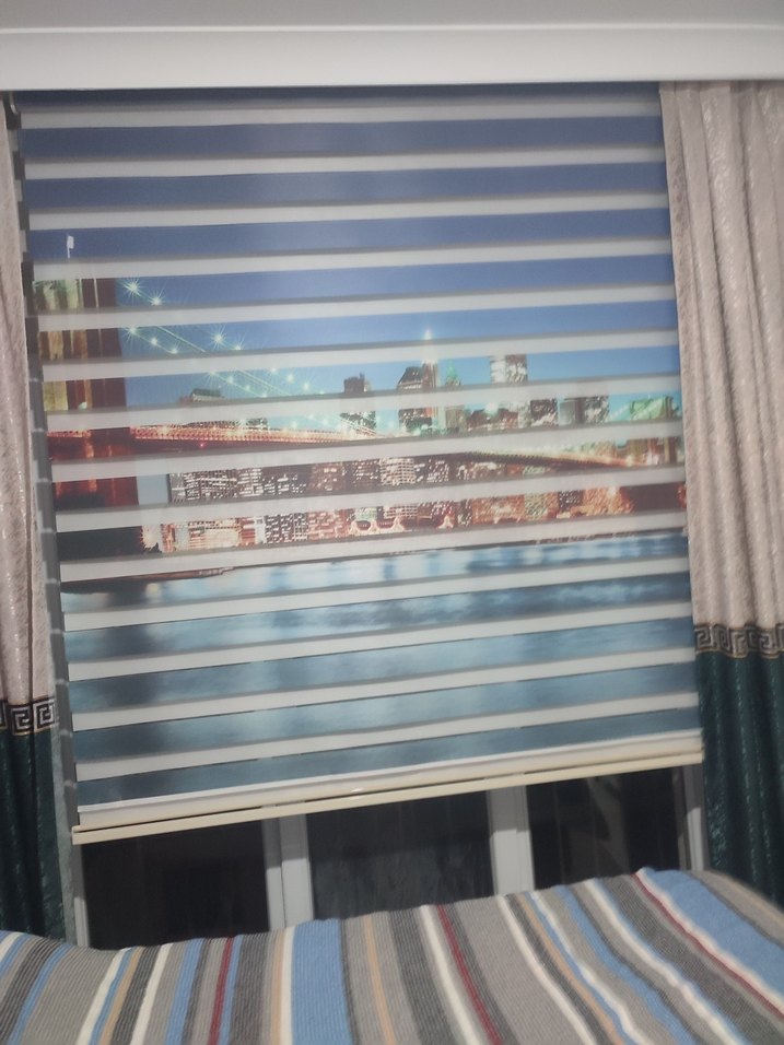 Çok Renkli Baskılı  MaviZebra Perde - Görsel 3