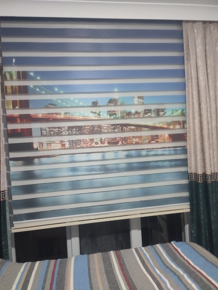 Çok Renkli Baskılı  MaviZebra Perde - Görsel 2