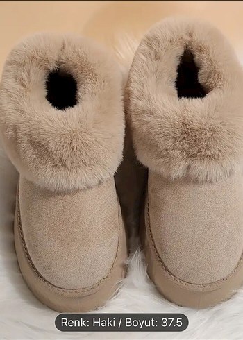 38 Beden Ugg Bot