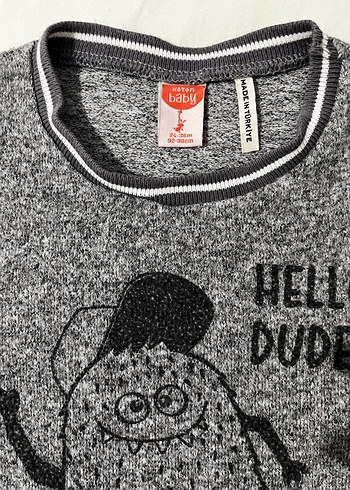 Gri Erkek Çocuk Baskılı Sweatshirt - Görsel 2