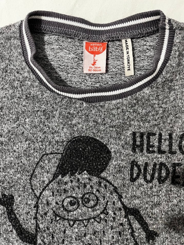 Gri Erkek Çocuk Baskılı Sweatshirt - Görsel 2