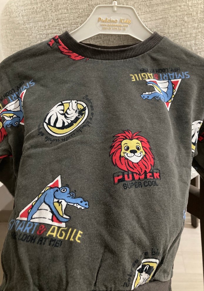 Erkek Çocuk Gri Desenli Sweatshirt - Görsel 2