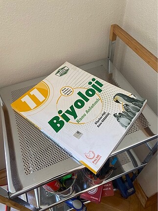 YKS BİYOLOJİ