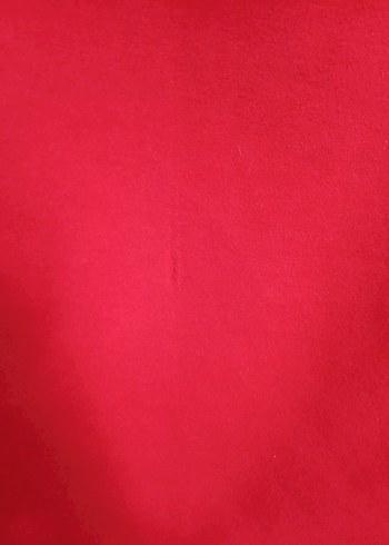 Kapüşonlu kırmızı düğmeli kaban - Görsel 4