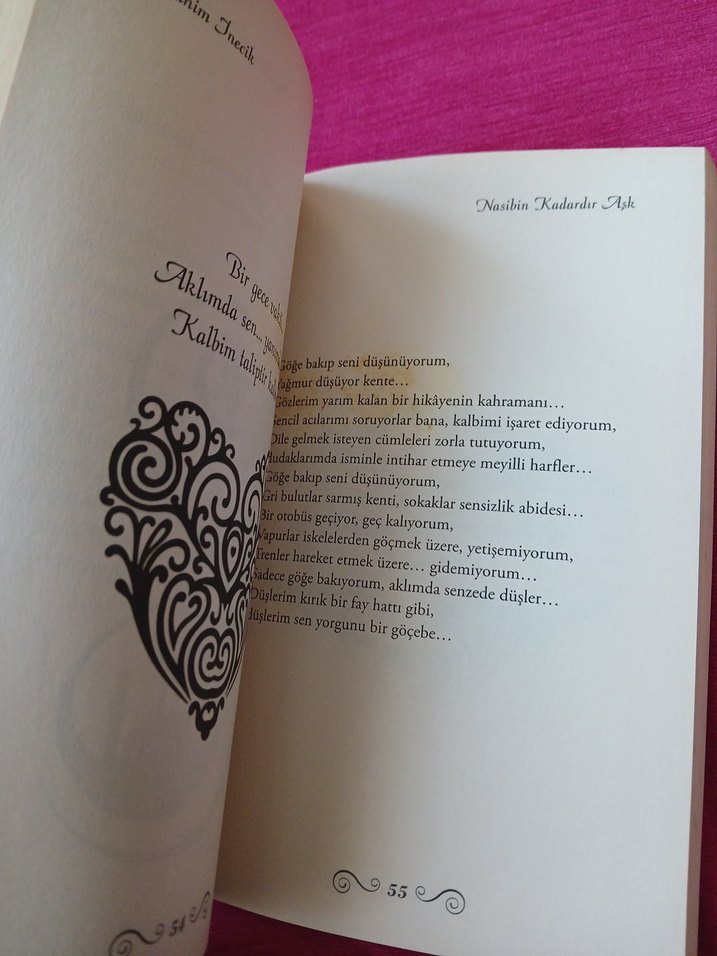 nasibin kadardır ask - Görsel 4