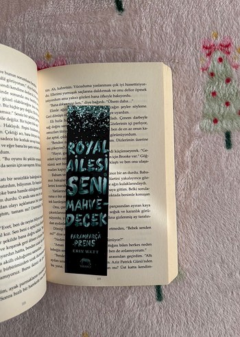 Paramparça Prens - Görsel 2