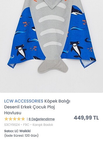 LC Waikiki Plaj havlusu
