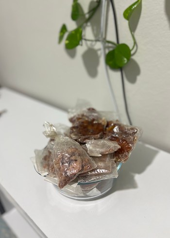 Doğal Çam Sakızı - Görsel 5