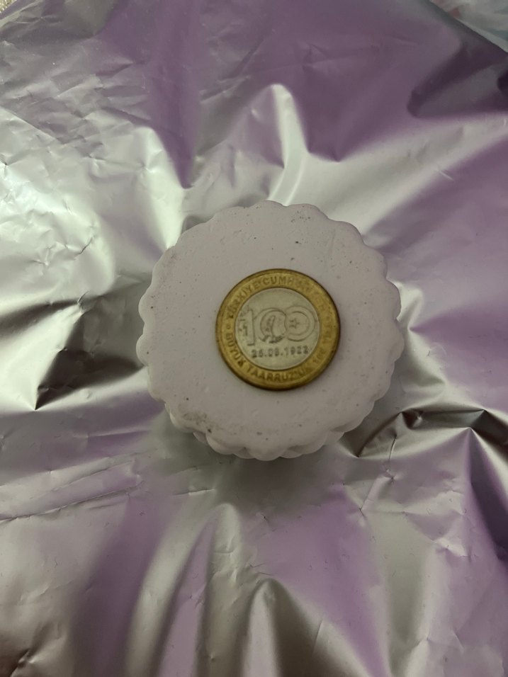 100.Yıl 1 TL - Görsel 3