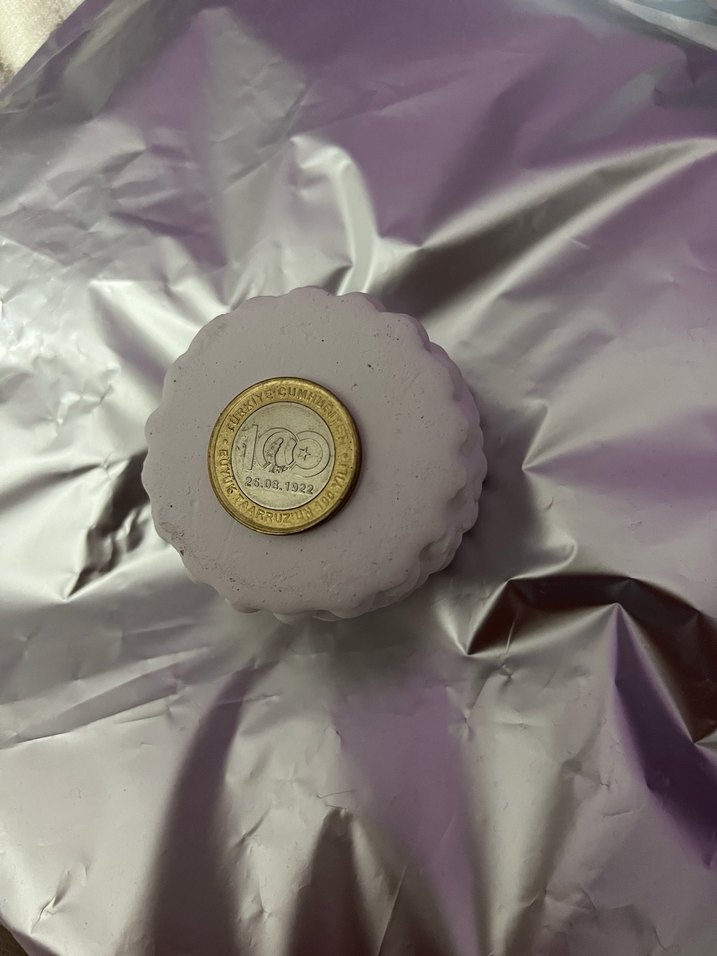 100.Yıl 1 TL - Görsel 2