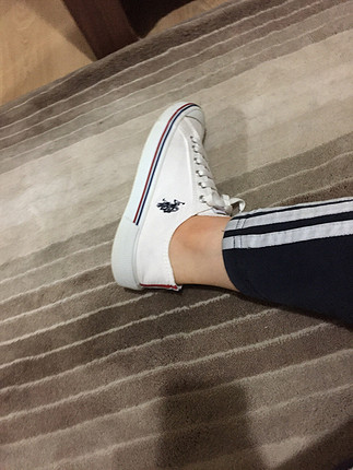 Polo converse