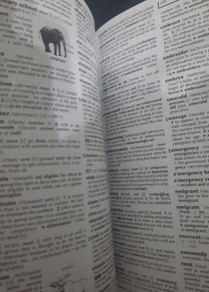 OXFORD İNGİLİZCE AÇIKLAMALI SÖZLÜK - Görsel 4