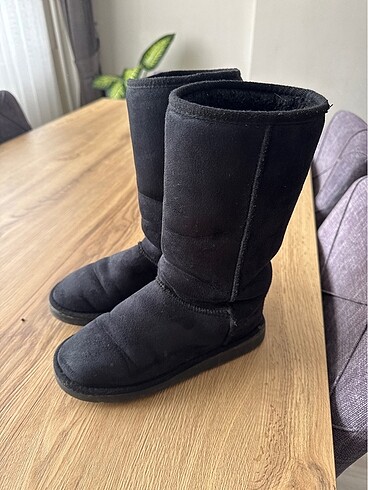 37 Beden Ugg Bot
