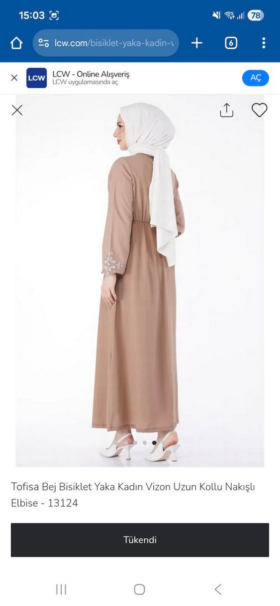 Nakışlı Elbise - Görsel 2