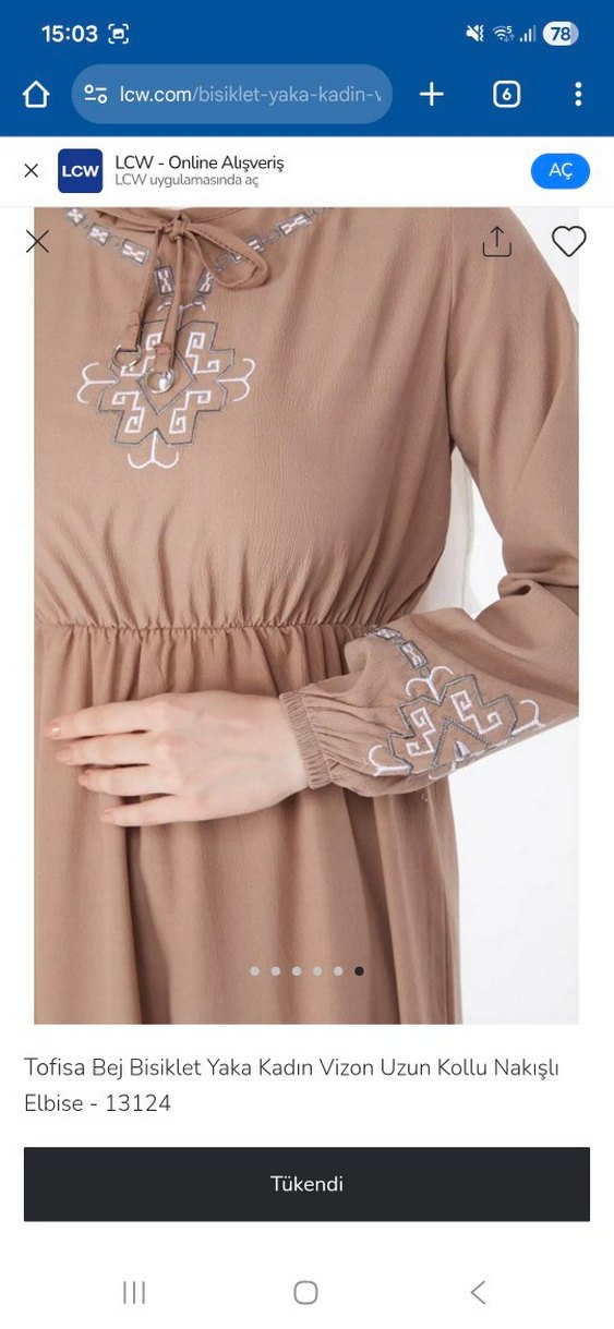 Nakışlı Elbise - Görsel 3