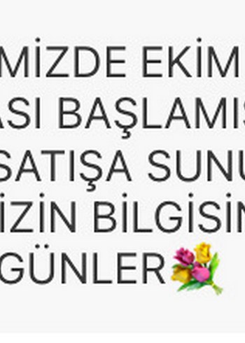 PATRON CILDIRDI KAMPANYASI EKİM BOYUNCA