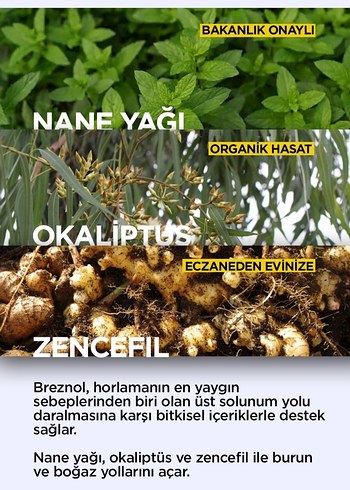 Breznol Horlamaya Karşı Bitkisel Çözüm BB Krem - Görsel 2