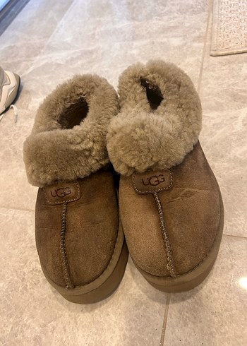 Ugg bot