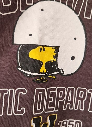 m Beden gri Renk Mavi Peanuts vatkalı crop