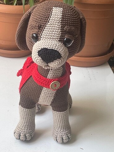 Oynar başlıklı köpek