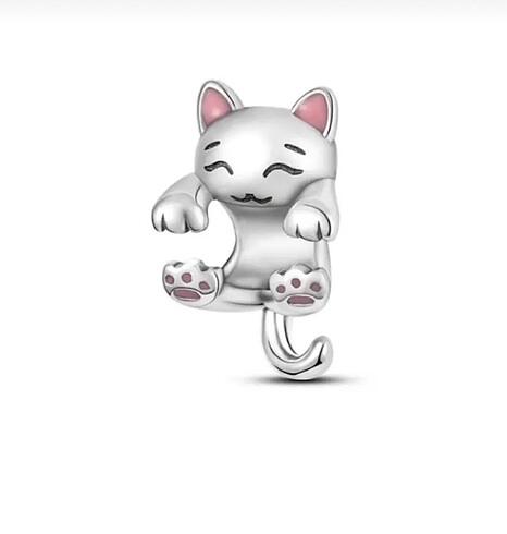 Pandora charm
