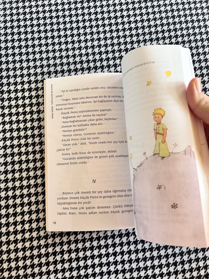 Küçük Prens - Antoine de Saint-Exupéry - Görsel 5