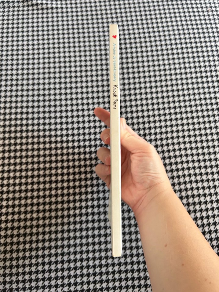 Küçük Prens - Antoine de Saint-Exupéry - Görsel 4