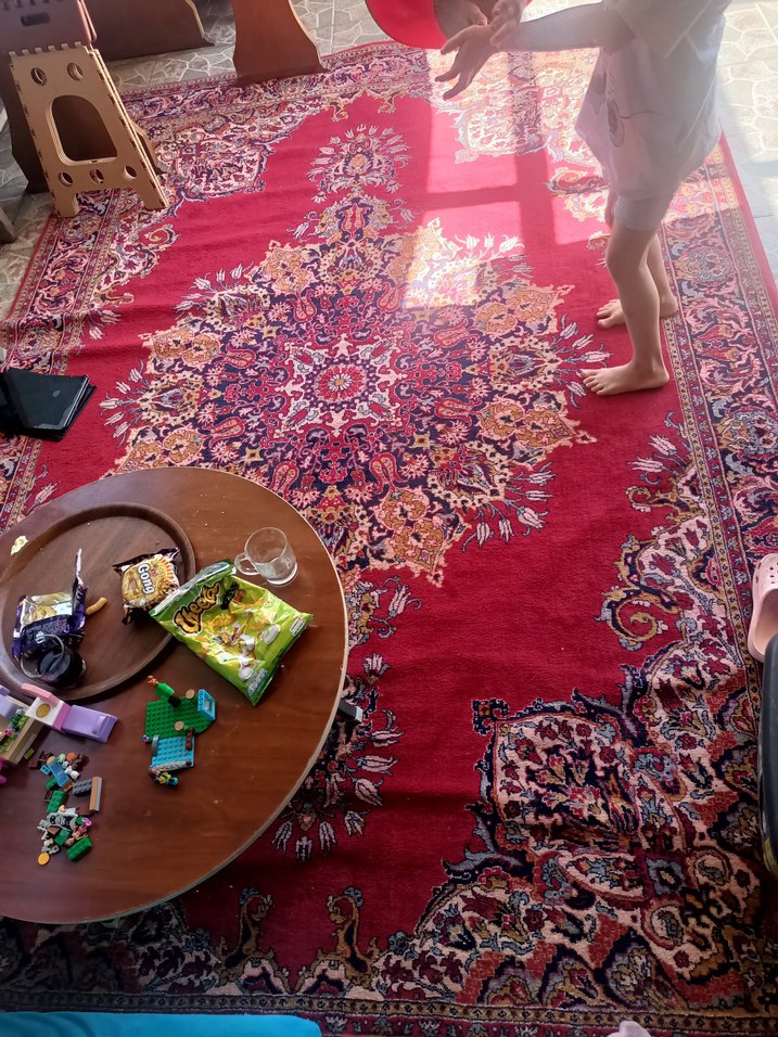 Hasel Halı Kilim 6mt - Görsel 2