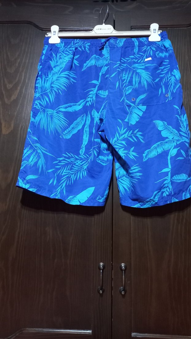 #Mudo Erkek Mavi Palmiye Desenli Şort mayo - Görsel 4