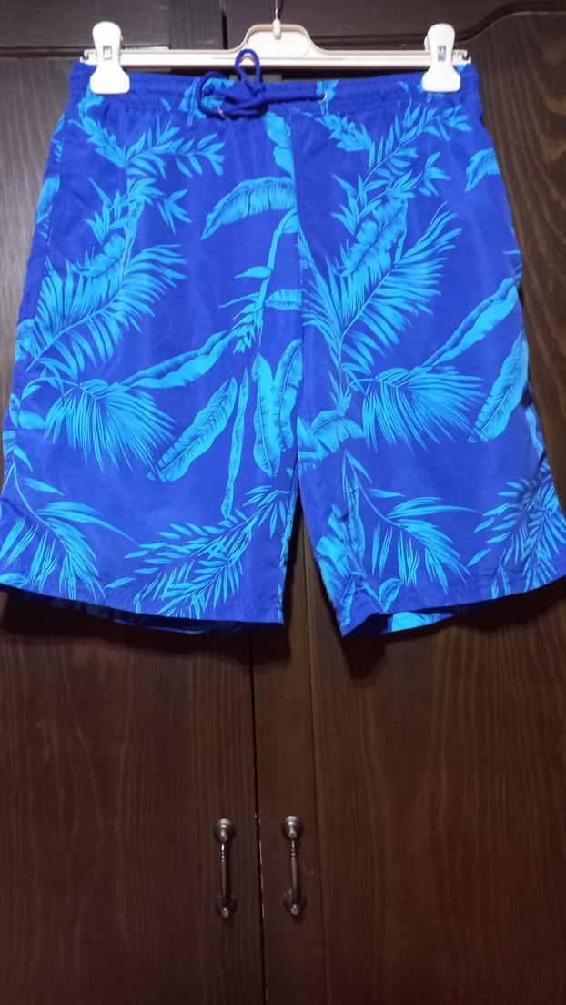 #Mudo Erkek Mavi Palmiye Desenli Şort mayo - Görsel 2