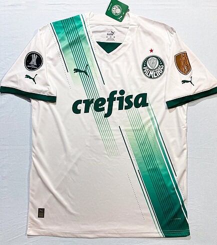 Palmeiras Endrick Puma Forma