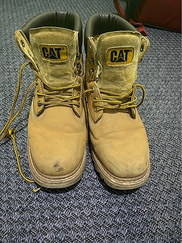 Cat Colorado Erkek Bot