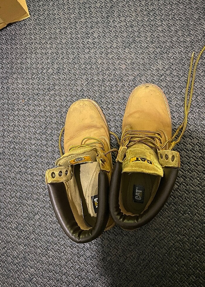 Cat Colorado Erkek Bot - Görsel 3