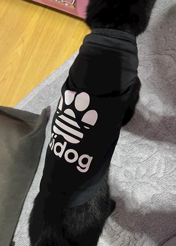 Köpek Kıyafeti - Görsel 2