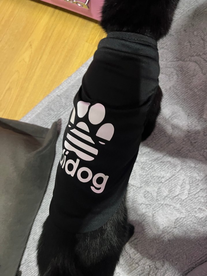 Köpek Kıyafeti - Görsel 2