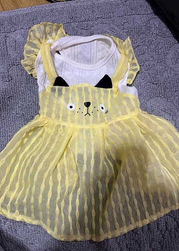 Kedi köpek Elbisesi - Görsel 2