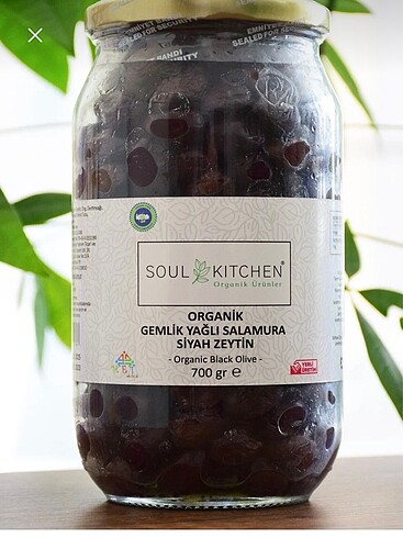 Zeytin Aydın