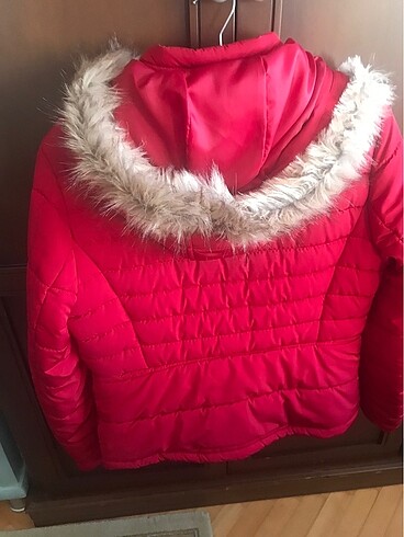U.S Polo Assn. Kadın mont