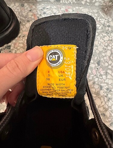38 Beden Cat deri bot