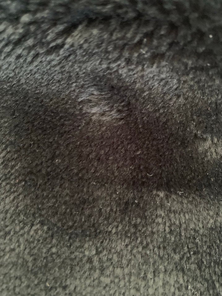 Siyah kürk parçaları - Görsel 2