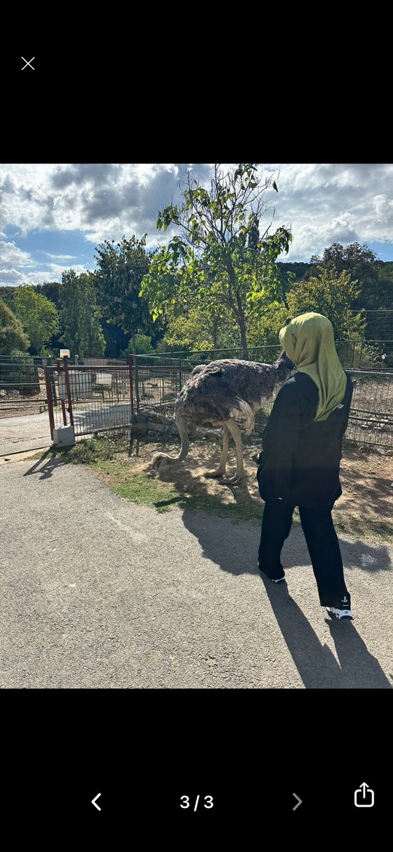 Armine yeşil twil ipek eşarp - Görsel 3