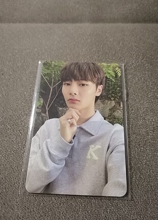 Stray kids IN fotokart