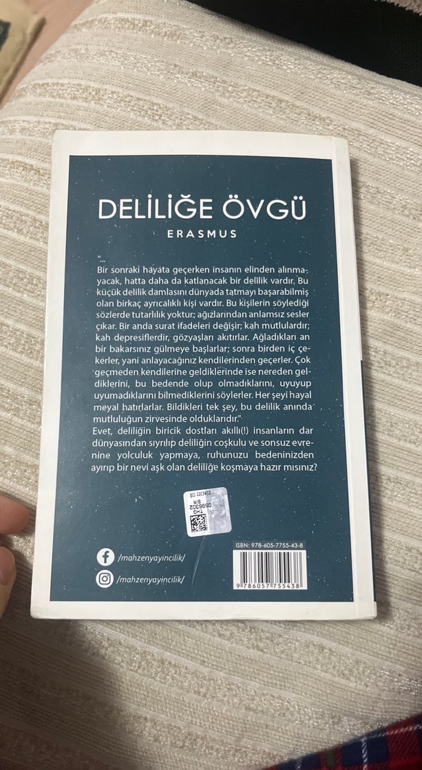 Erasmus - Deliliğe Övgü Romanı - Görsel 2