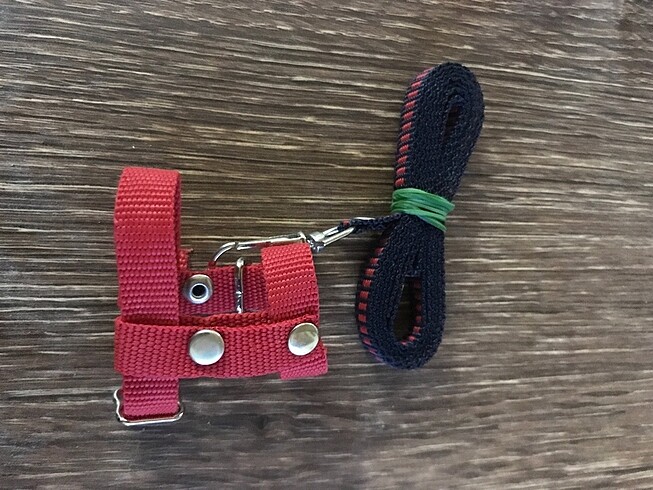 Kuş Tasması