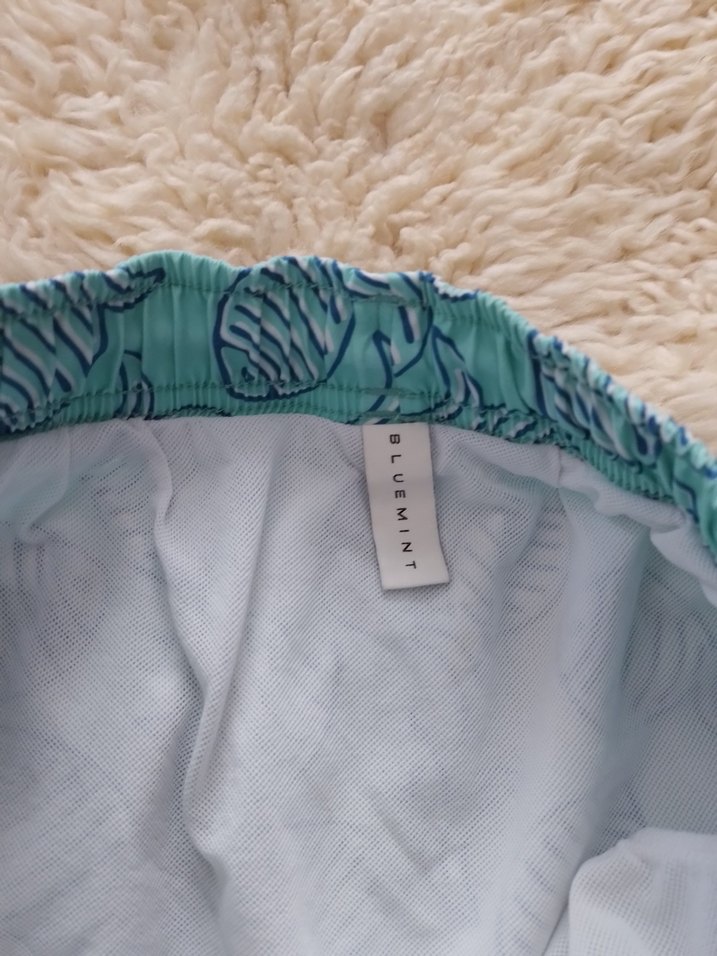 Bluemint turkuaz Bağcıklı Erkek Mini Şort - Görsel 4