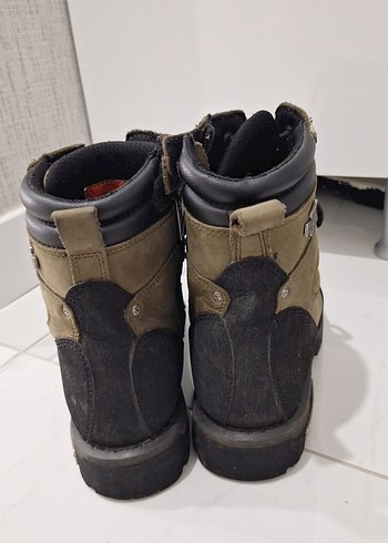 Harley davidson bot - Görsel 3