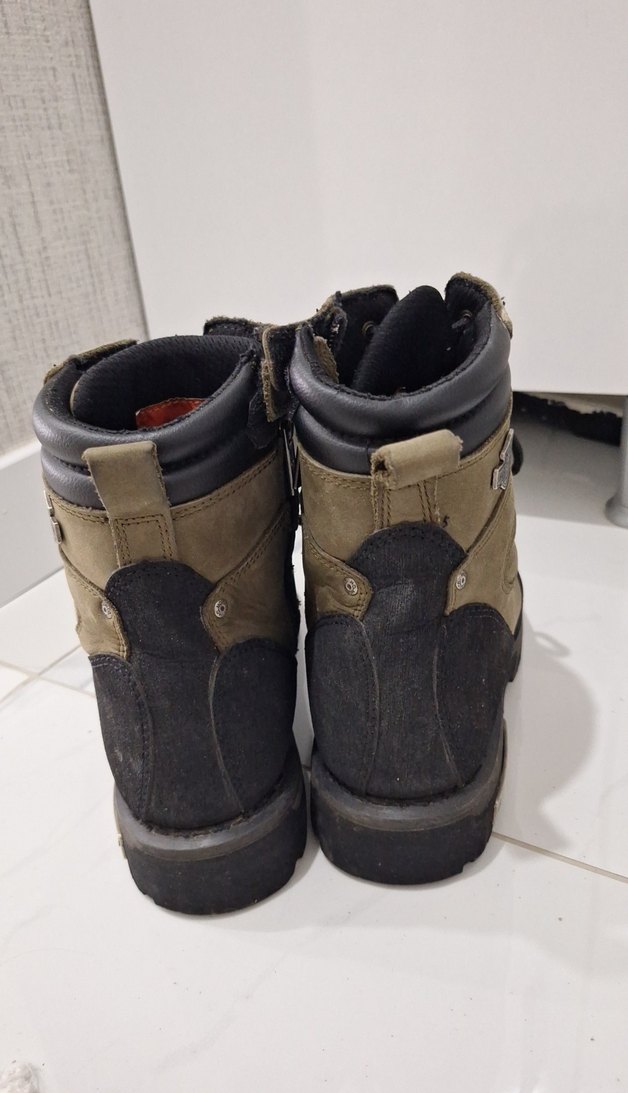 Harley davidson bot - Görsel 3