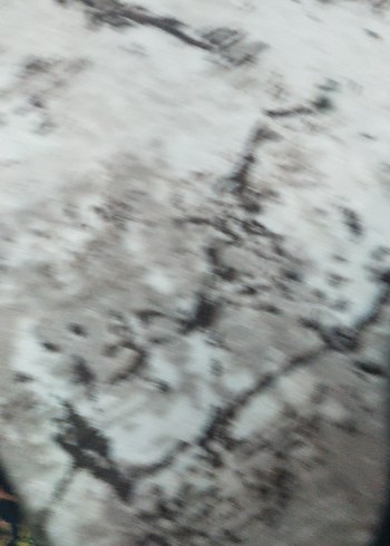 Renkli Batik Desenli Kız Tayt - Görsel 3