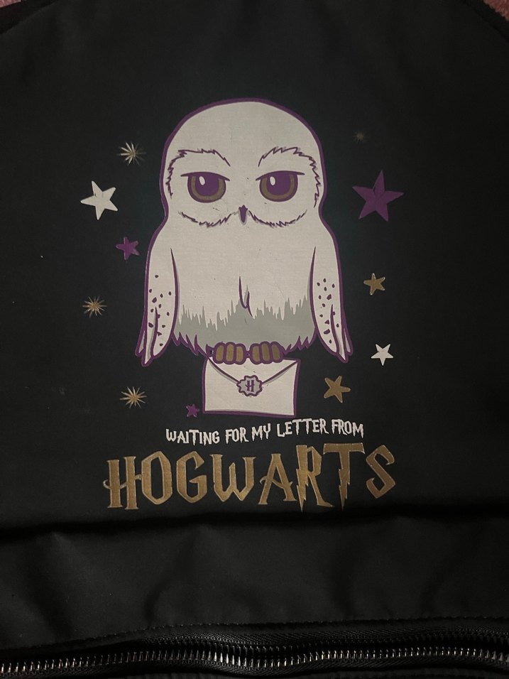 Harry Potter Siyah Çocuk Okul Çantası - Görsel 4